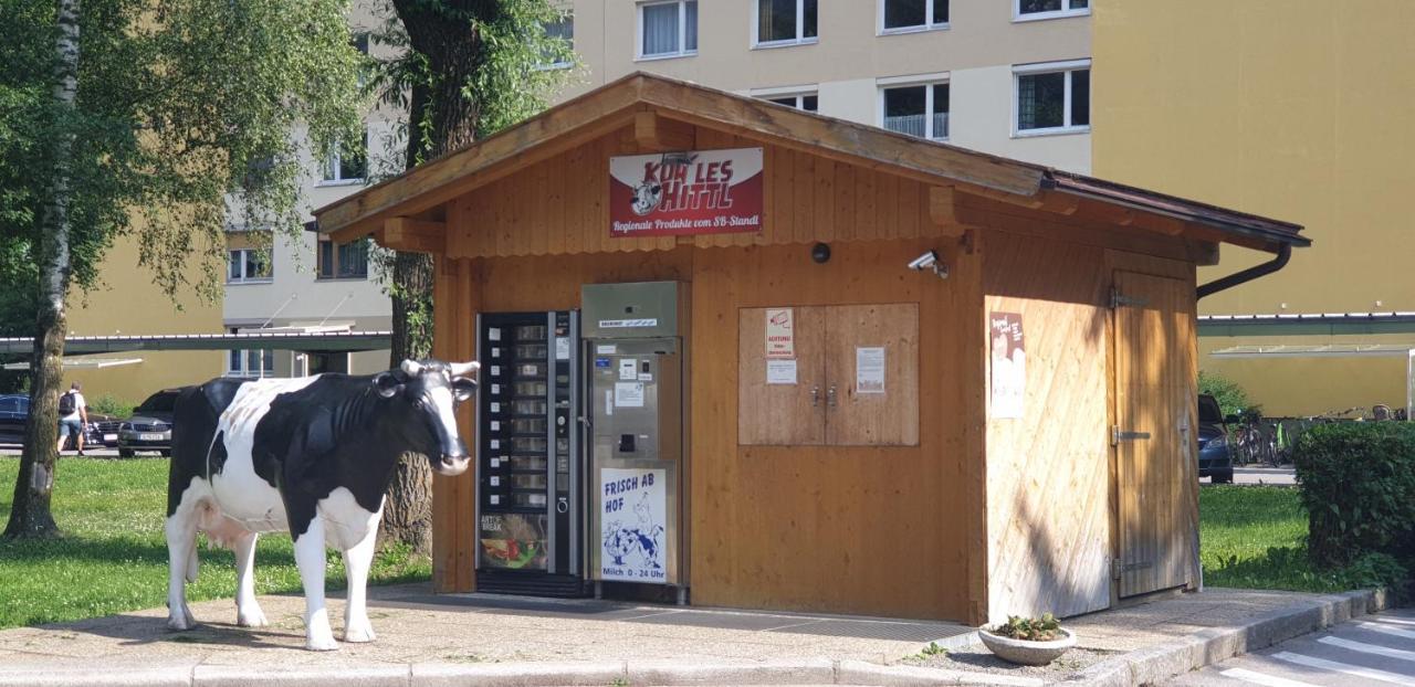 Ferienwohnung Singer Вюлц Екстериор снимка